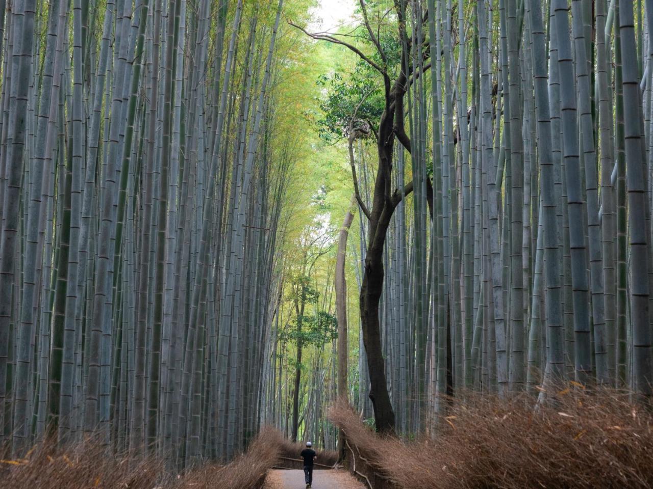 Stay Marutamachi Kyoto Buitenkant foto