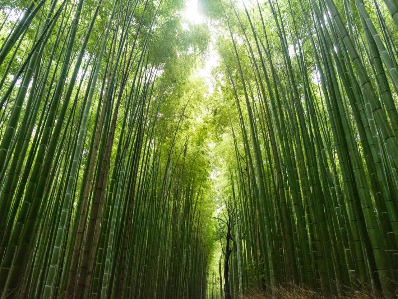 Stay Marutamachi Kyoto Buitenkant foto